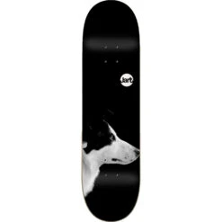 Jart Friends 8.0" Black Skateboard Deck
