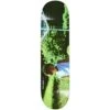 Polar Paul Grund Nicole 8.375" Skateboard Deck