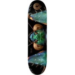 Powell Peralta Biss Bark Mantis 8.75" Skateboard Deck