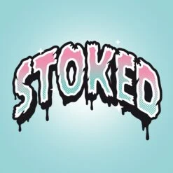 The Stoker Skateboard Deck -Wintersport Stoked The Stoker IG Square 02